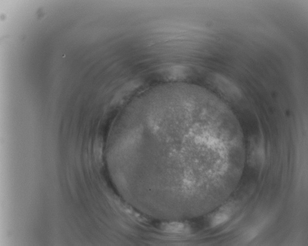 X0000062910230200601201944