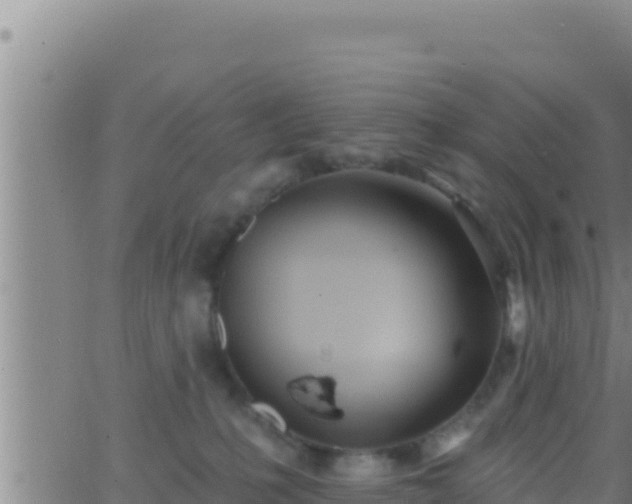 X0000062910231200601201944