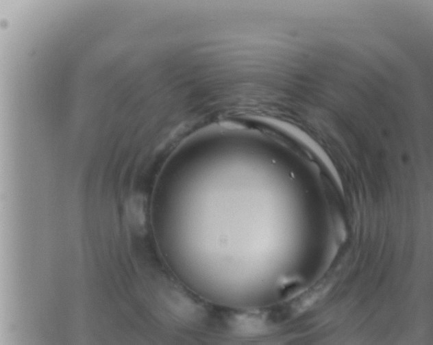 X0000062910232200601201944