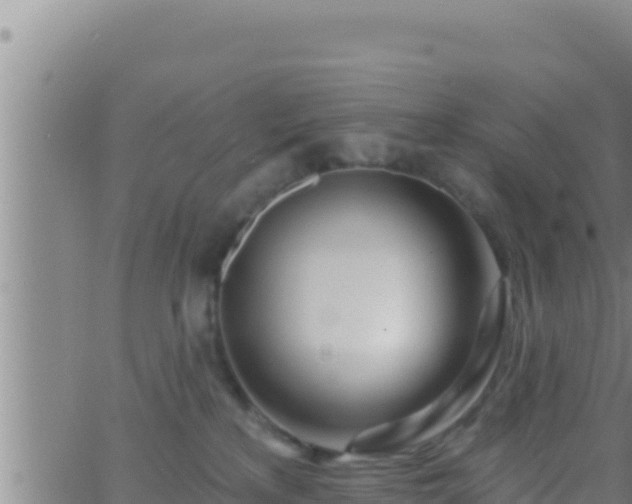 X0000062910233200601201944