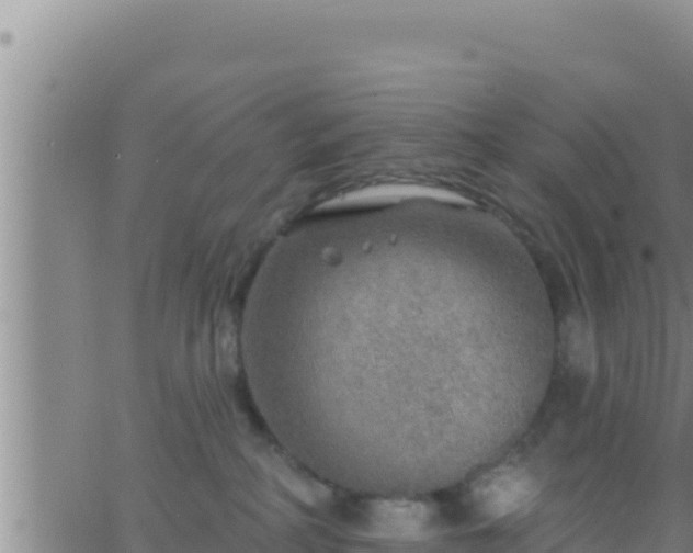 X0000062910234200601201944