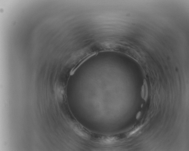 X0000062910235200601201944