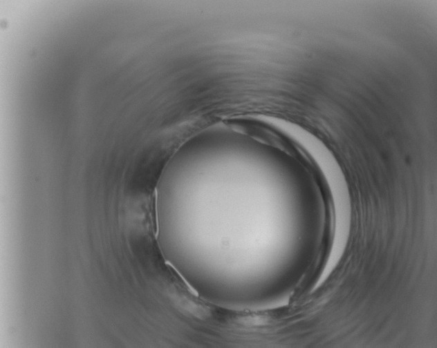 X0000062910237200601201944