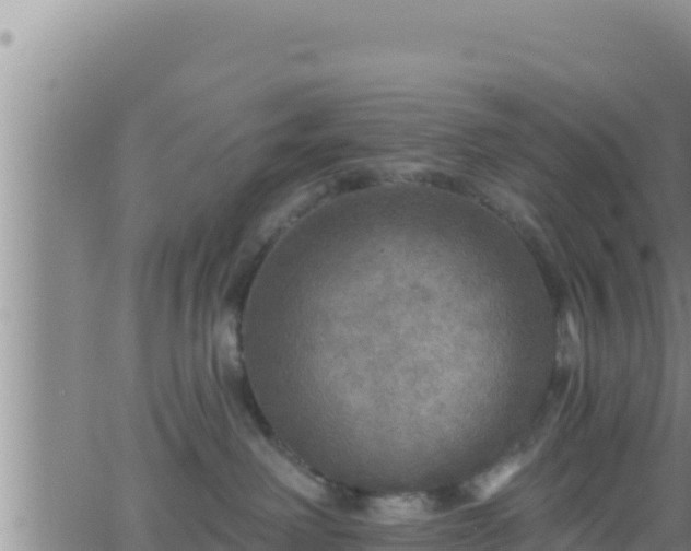 X0000062910238200601201944