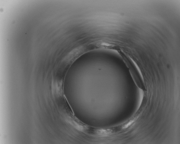 X0000062910239200601201944