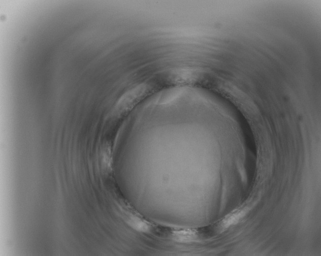 X0000062910240200601201944