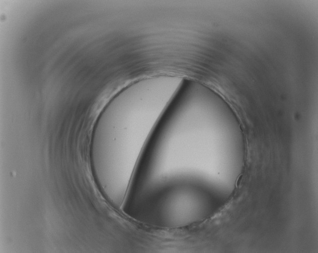 X0000062910241200601201943