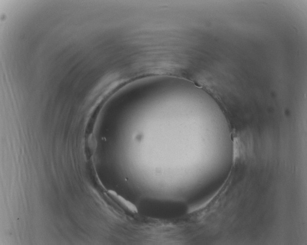 X0000062910243200601201943