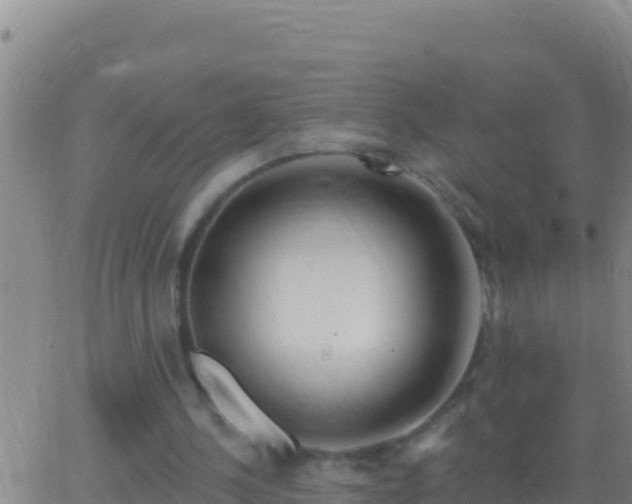 X0000062910244200601201943