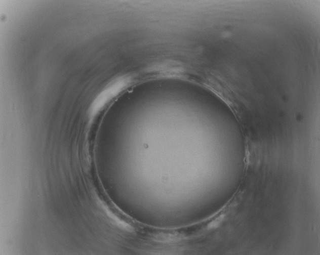 X0000062910245200601201943