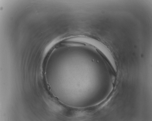 X0000062910246200601201943