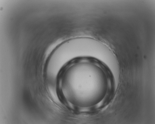 X0000062910248200601201943