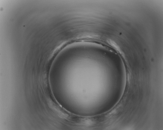 X0000062910249200601201943