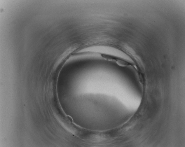 X0000062910250200601201943