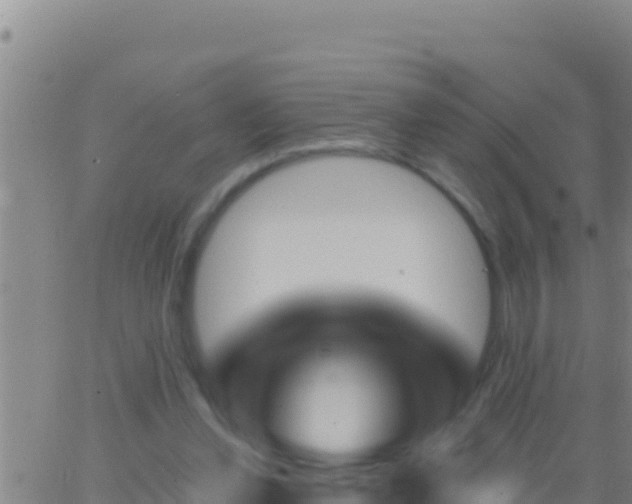 X0000062910252200601201943