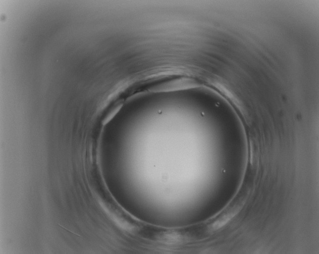 X0000062910253200601201943