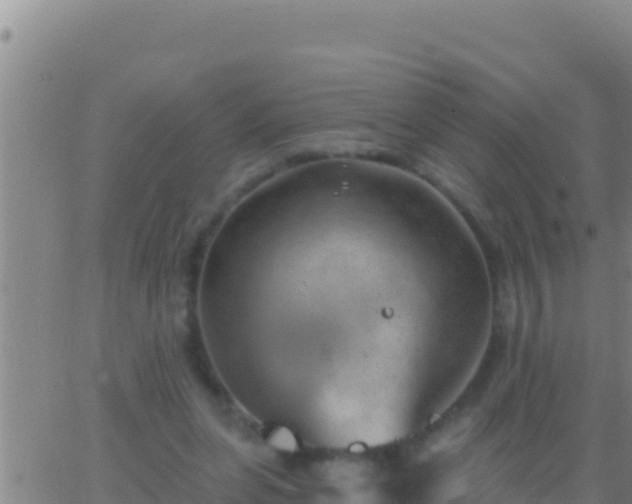 X0000062910255200601201943