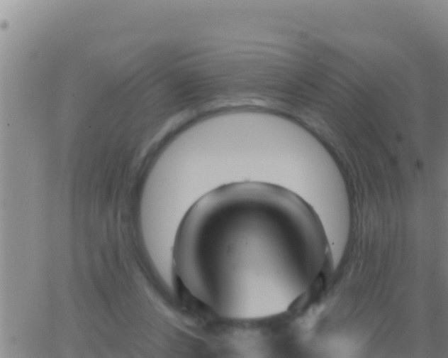 X0000062910256200601201943