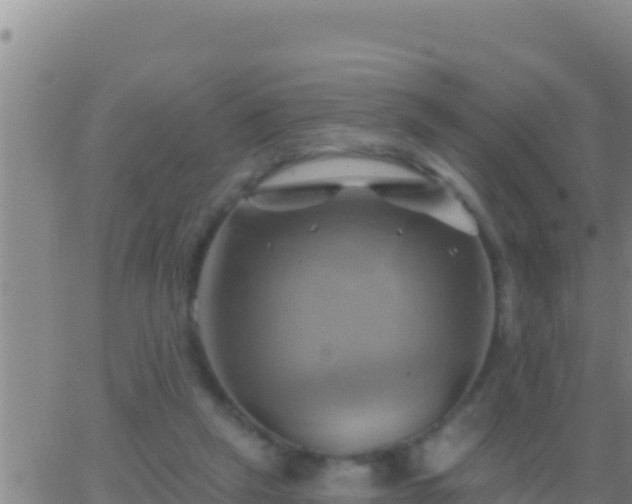 X0000062910257200601201943