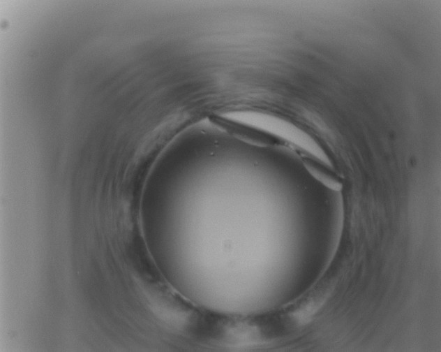 X0000062910258200601201943