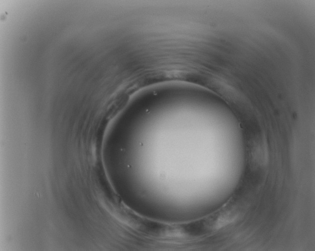 X0000062910262200601201944