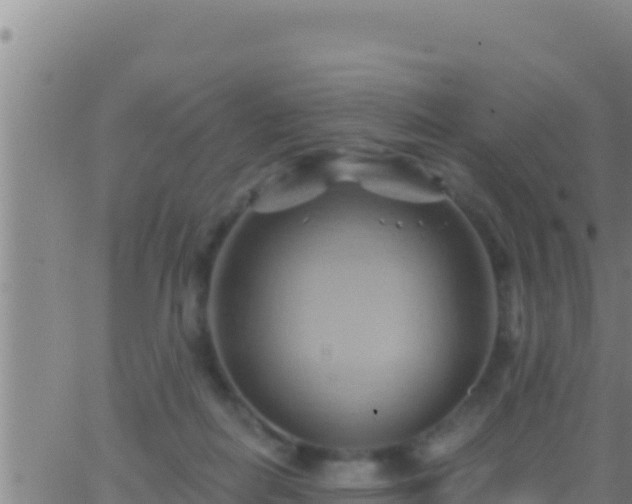 X0000062910266200601201944