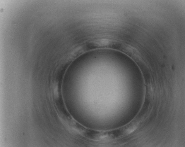 X0000062910267200601201944