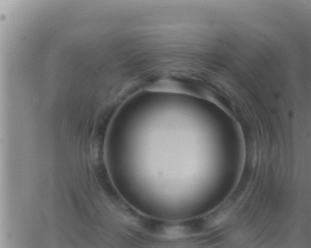 X0000062910268200601201944