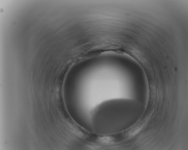 X0000062910269200601201944