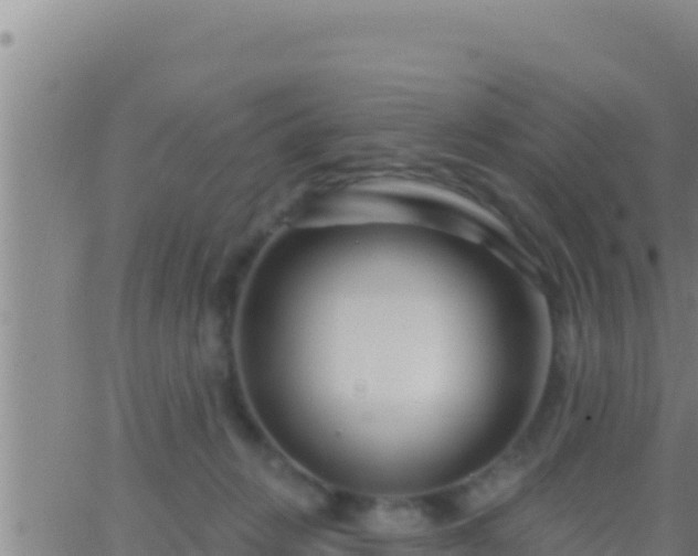 X0000062910270200601201944