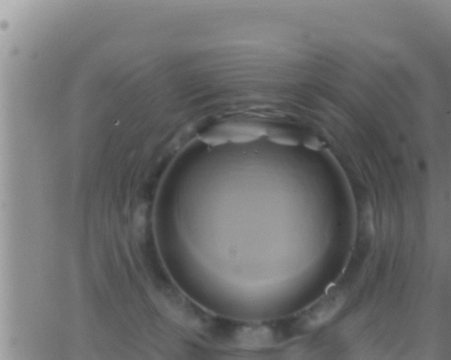 X0000062910271200601201944