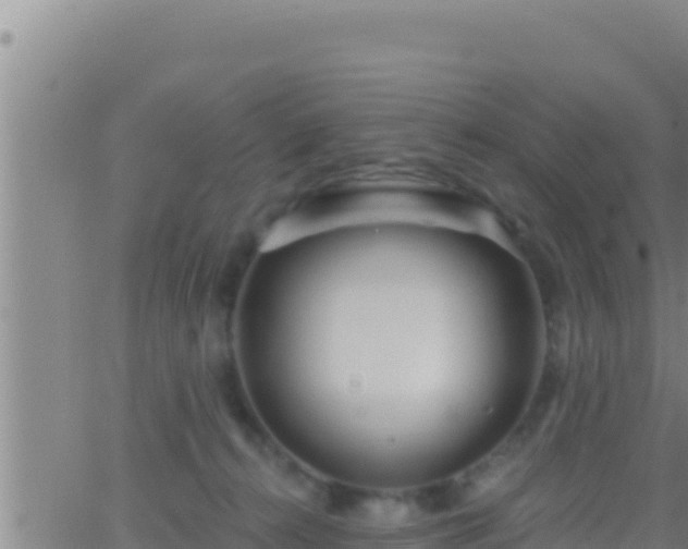 X0000062910272200601201944