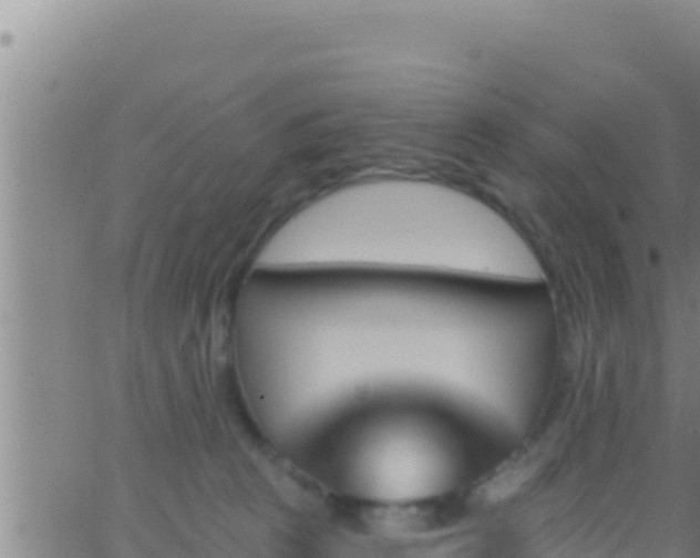 X0000062910273200601201944