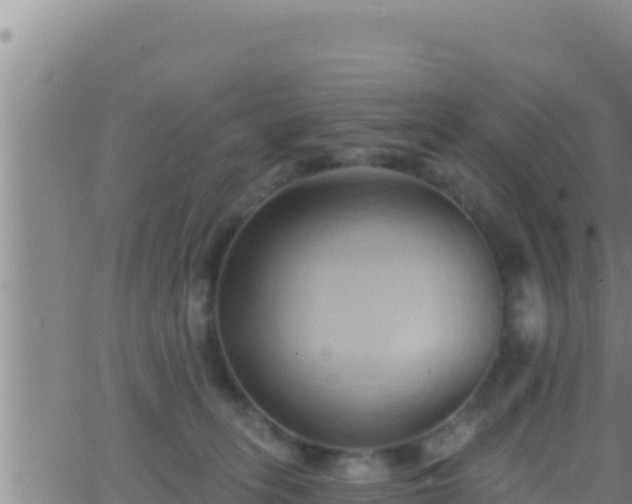 X0000062910275200601201944