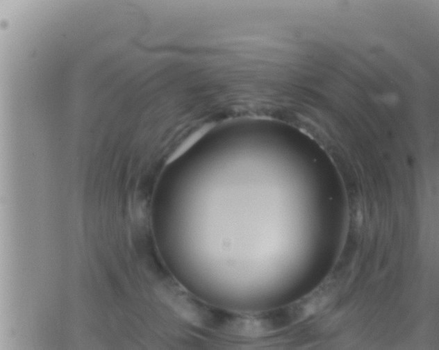 X0000062910276200601201944