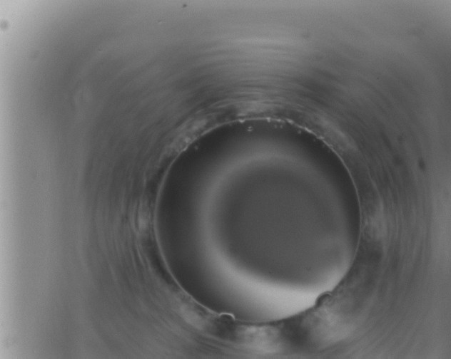 X0000062910277200601201944