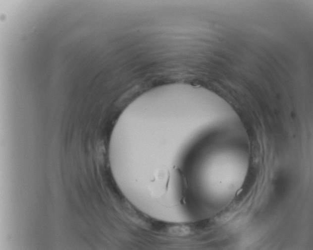 X0000062910279200601201944