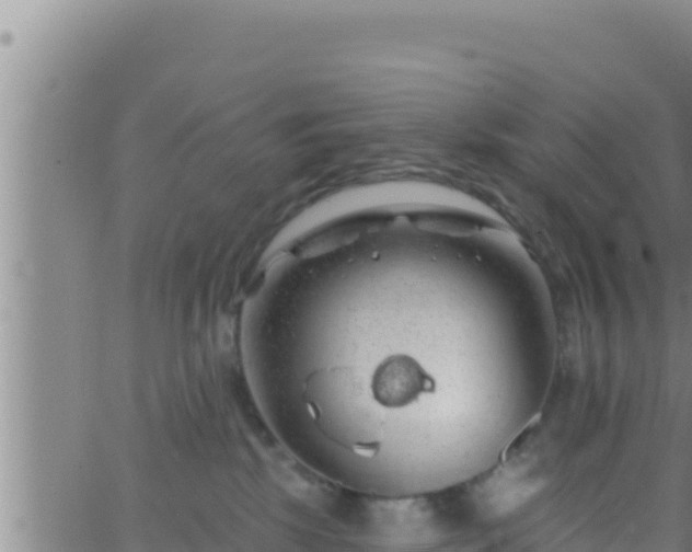 X0000062910281200601201944