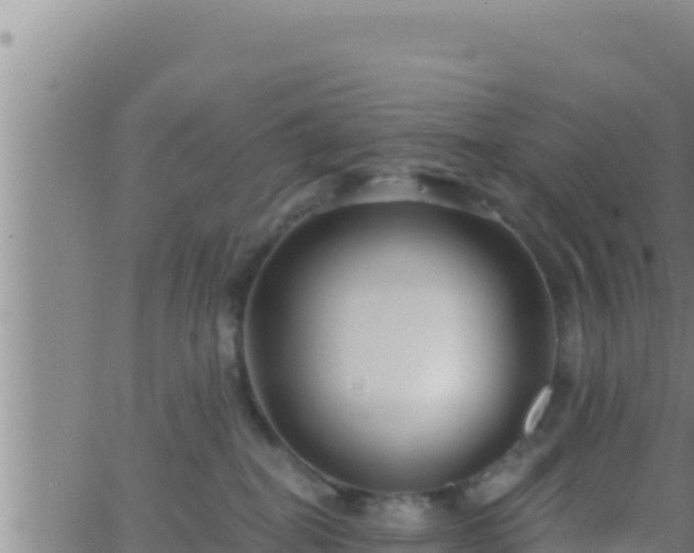 X0000062910282200601201944