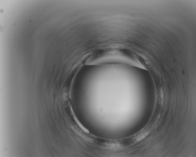 X0000062910284200601201944