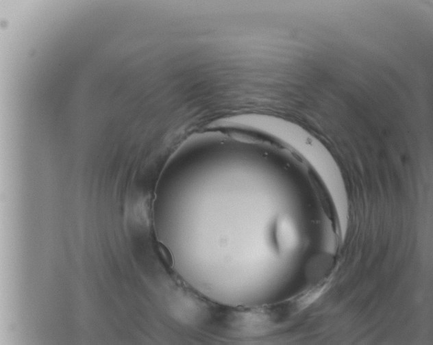 X0000062910286200601201944