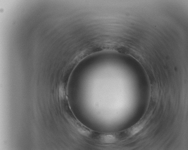 X0000062910287200601201944