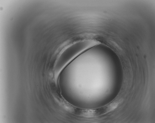 X0000062910288200601201944