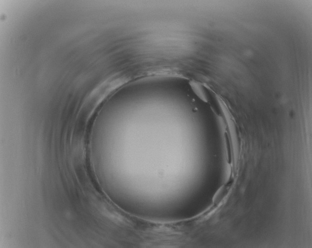 X0000062910290200601201943