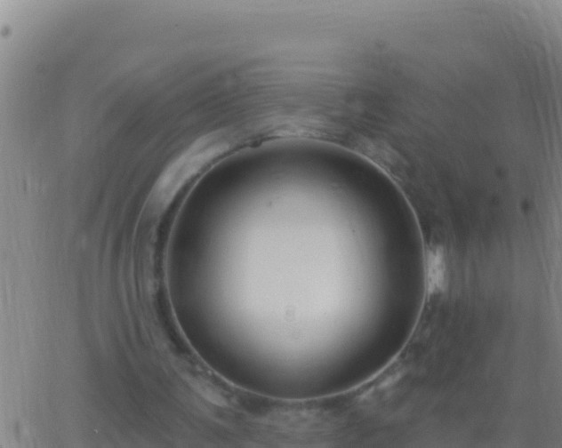 X0000062910291200601201943