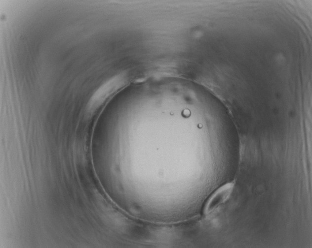 X0000062910293200601201943