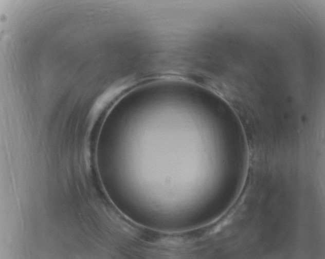 X0000062910294200601201943