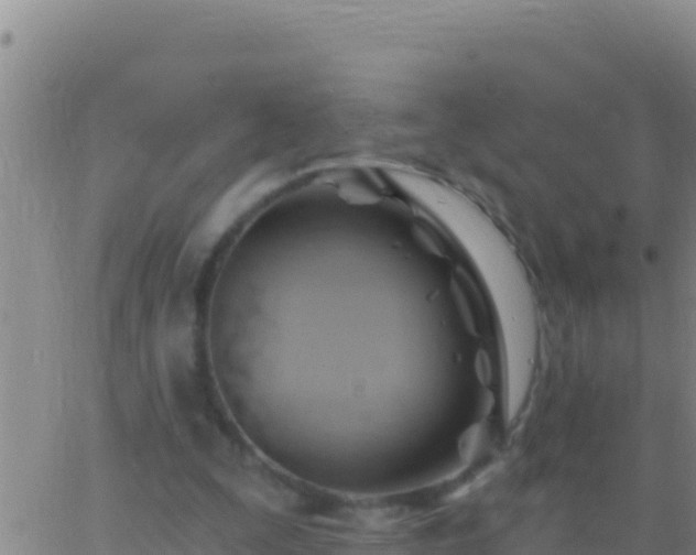 X0000062910295200601201943