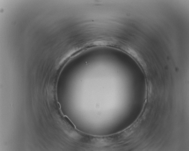 X0000062910297200601201943