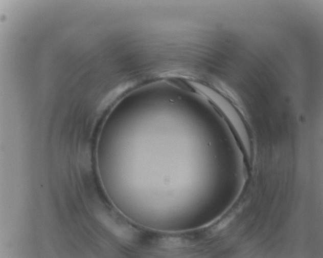 X0000062910298200601201943